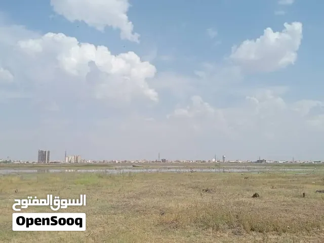 ارض استثمارية للبيع في المقرن غابط السنط مطله علي النيل مباشر 11 فدان الا ربع
