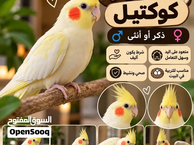 كروان كوكتيل