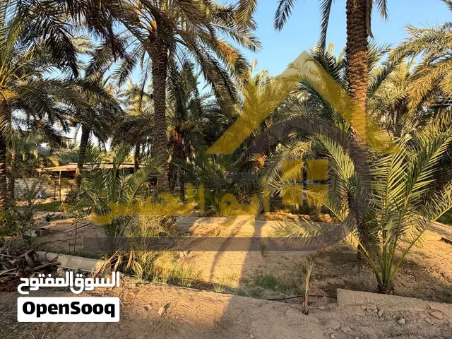 قطعة ارض للبيع في منطقة ابي الخصيب مساحة القطعة 2450 متر