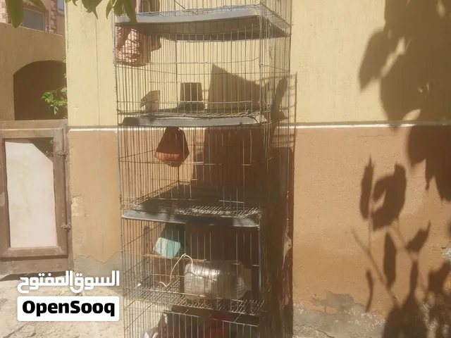 قفص حمام حديد كبير خمس ادوار