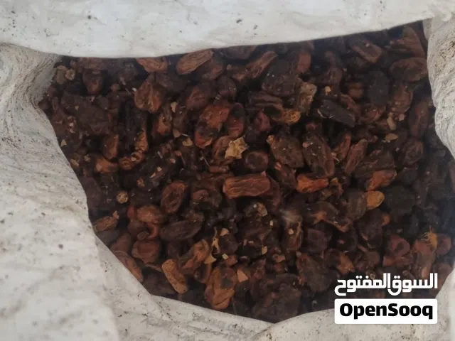 تمر نفيعة جواني كبار انتاج السنة
