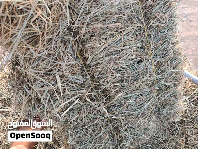يتوفر على حسب الطلب برايد حشيش ناعم