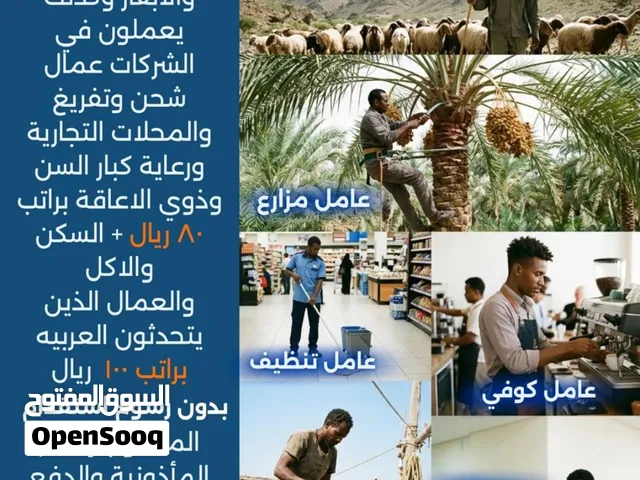 السلام عليكم. نوفر عمال اثيوبيين يعملون في اي مجال بدون رسوم استقدام