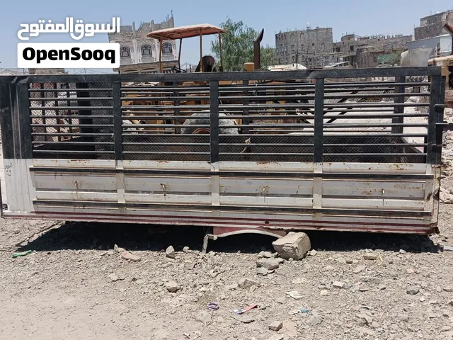 صندوق دينه سعودي