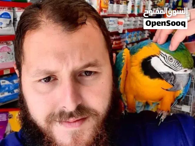 نشتري منك بأحسن الأسعار ونبدل ونبيع أسعار عروض ومنافسة مصداقية وأمانة اقرأ الوصف تحت بفيدك وبوفر وقت