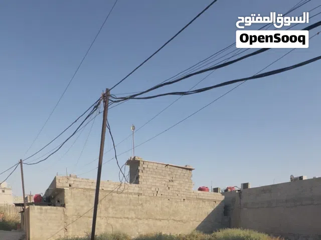 قطعة ارض زراعي البصرة تنومة الصالحية