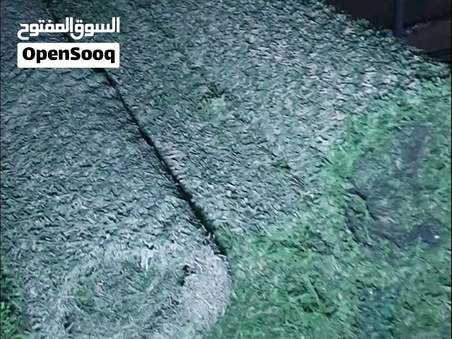شبك للعزب والحلال والمخيمات رول تركي 80 متر