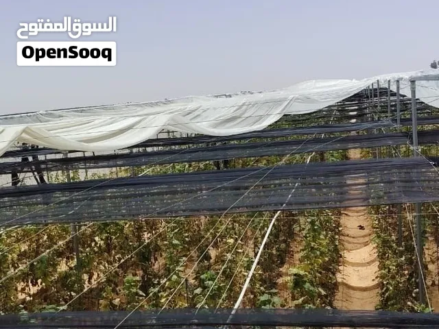 بيوت زراعيه