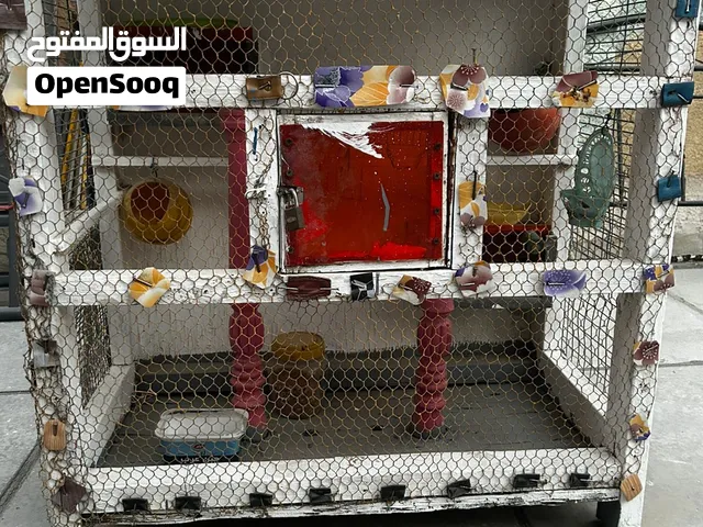 قفص لطيور الحب للبيع نظيف بسعر 20 الف  قفص لطيور الحب للبيع نظيف بسعر 20 الف