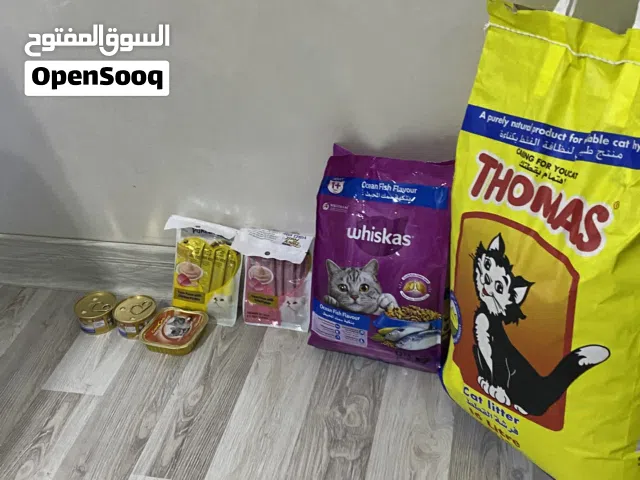 اكل للقطط رقمي واتساب