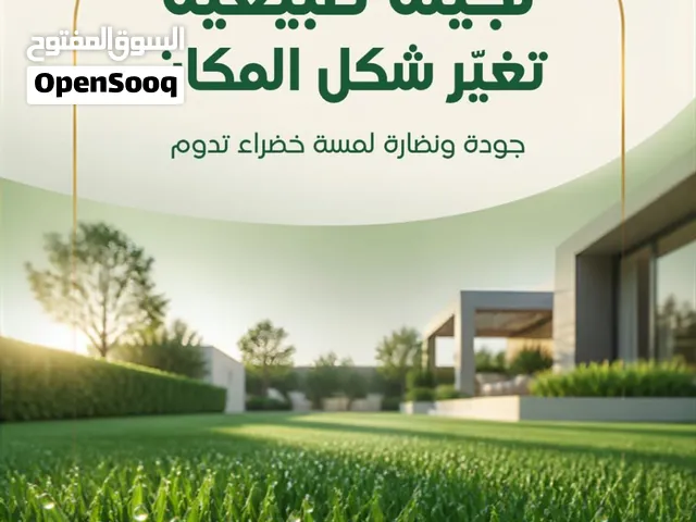 نجيلة طبيعية للبيع في العين وأبوظبي