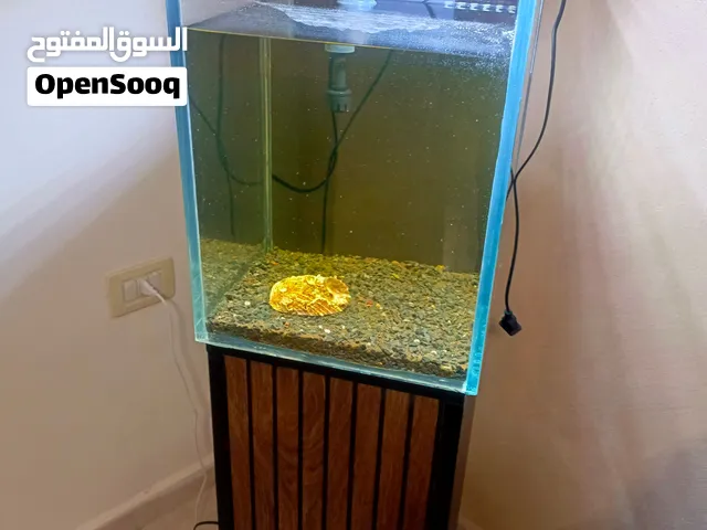 حوض سمك مقاس 30*30*43 مع طاوله