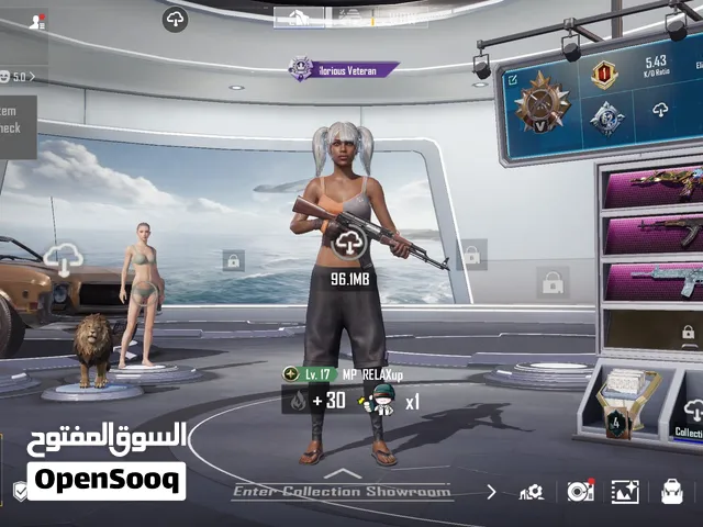 Pubg Accounts and Characters for Sale in Abu Dhabi