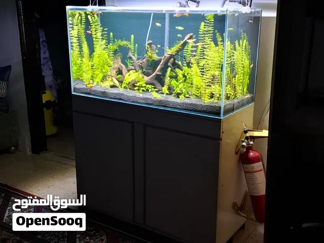 حوض سمك كامل من نبات وسمك وحوض وخزانة وانارة ونظام co2 وفلتر سامب ،،، كامل مكمل