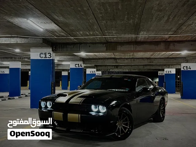 جالنجر للبيع اقره الوصف مهم