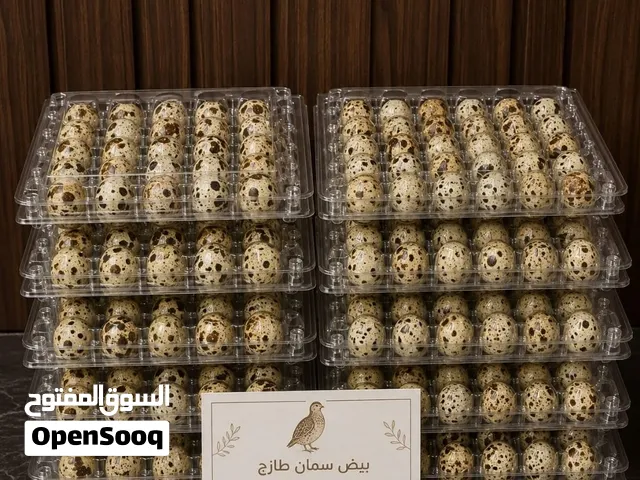 بيض سمان البيع