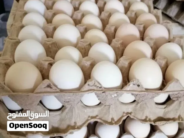 السلام عليكم يوجد طبقين دحي عربي ربي يبارك مخصب صالح حتى الأكل