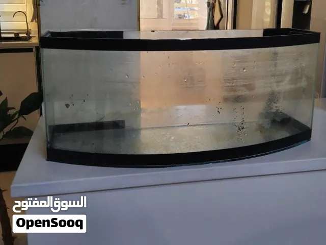 حوض سمك نظيف وكالة