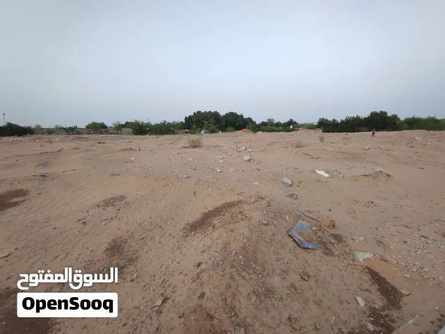 Farm Land for Sale in Abu Dhabi Other