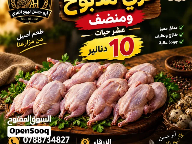طيور الفري / السمان