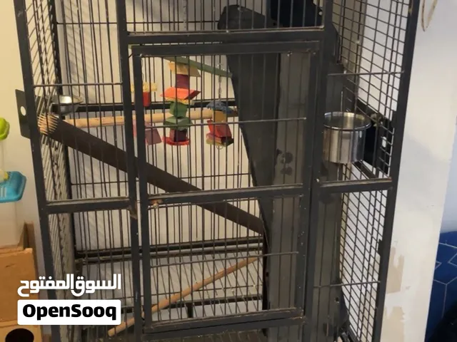 اغرض طيور كامله