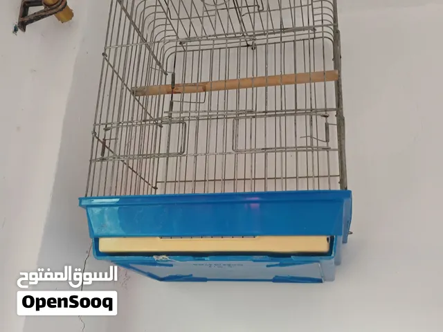 اقفاص للبيع