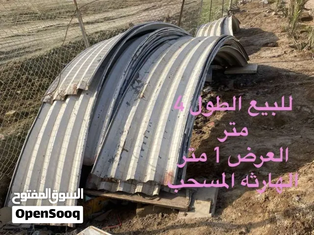 جينكو مقوس