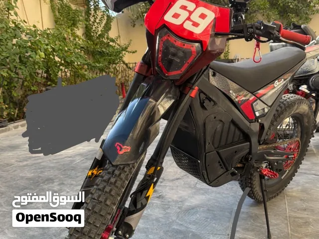 For sale electric bike  Arctic leopard EX800