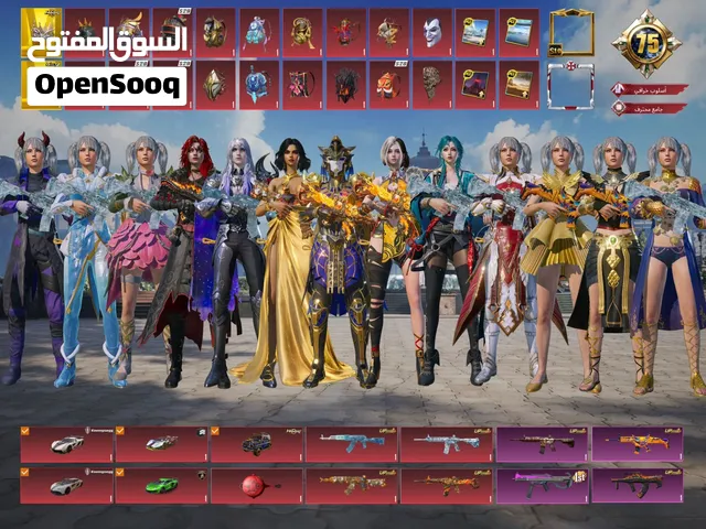 حساب ببجي استعمال شخصي