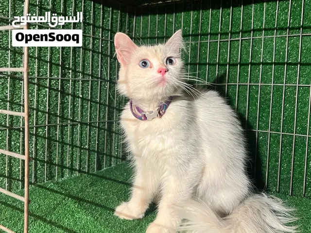 الام وبنتها ربي يبارك