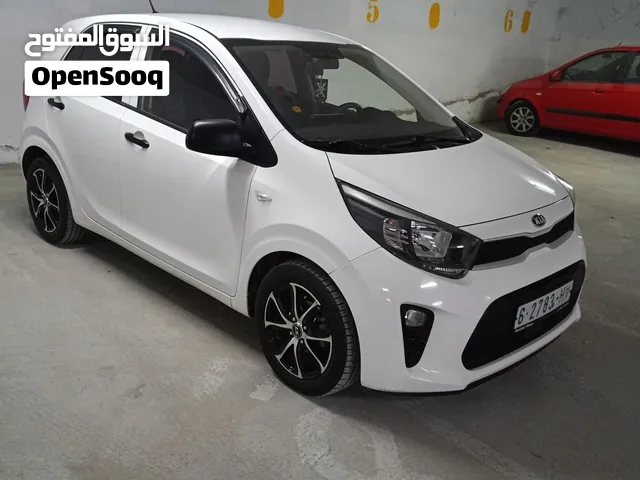 Kia morning جير ماتور بلاطات شصيات عمدان فخذات سمكات نخب النخب ودهان شركة
