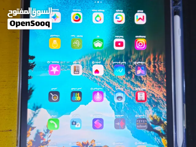 ipad pro m2 11in 256gb
