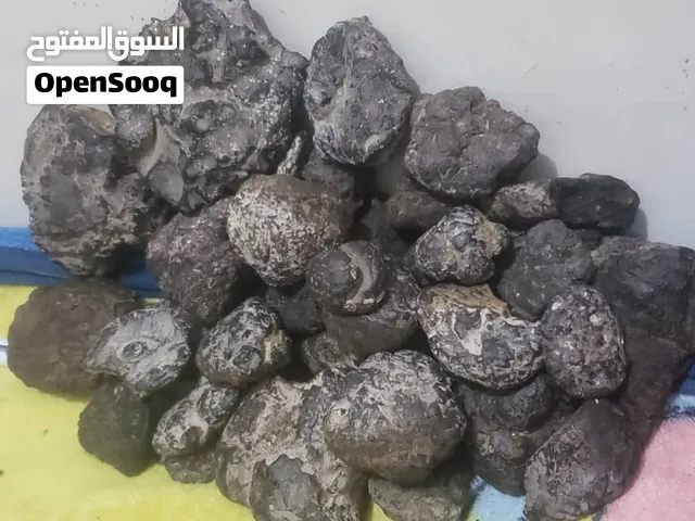عنبر خام طبيعي