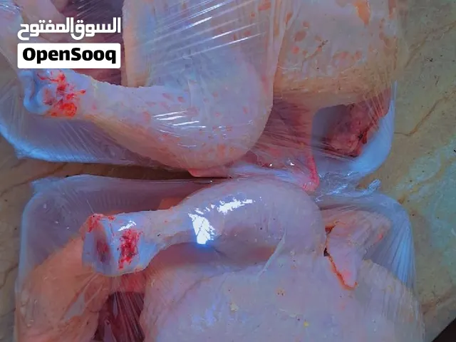 دجاج حي للبيع او مذبوح طازه