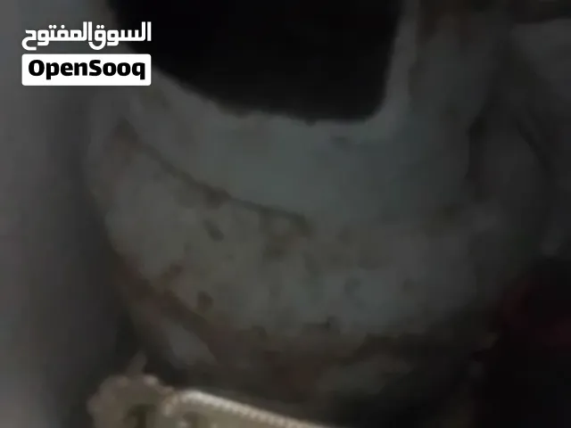 جره غاز ميانه