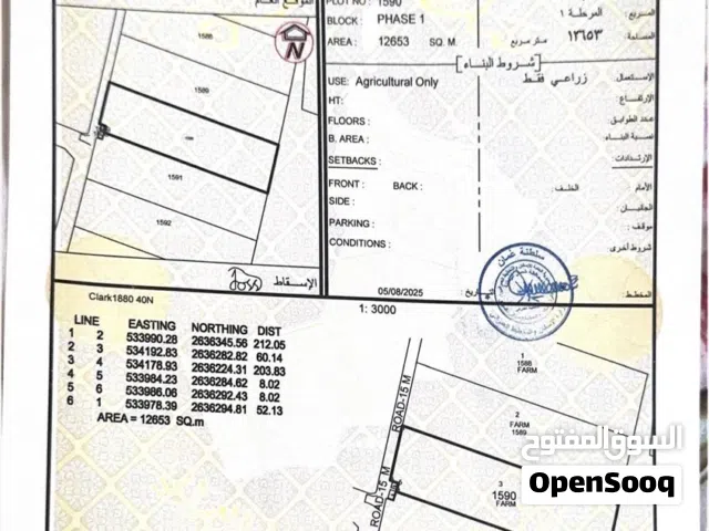 زراعيه فرصه للبيع بسعر مغري وأرض خصبه