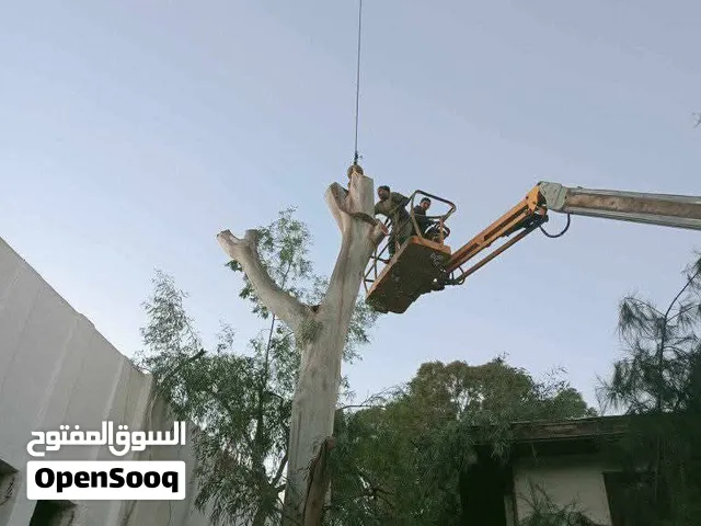 قص وتقطيع الأشجار غير المرغوب فيها. تنسيق وتنظيف الحدائق. عمان