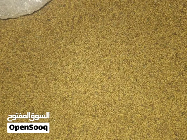 بذر قت للبيع
