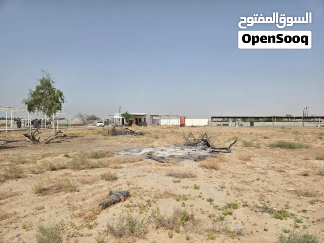 *+ مساحة موجوده حق إيجار في مزرعه في راس الخيمه حق استفسار ارجوا تواصل رقم الي في إعلان*