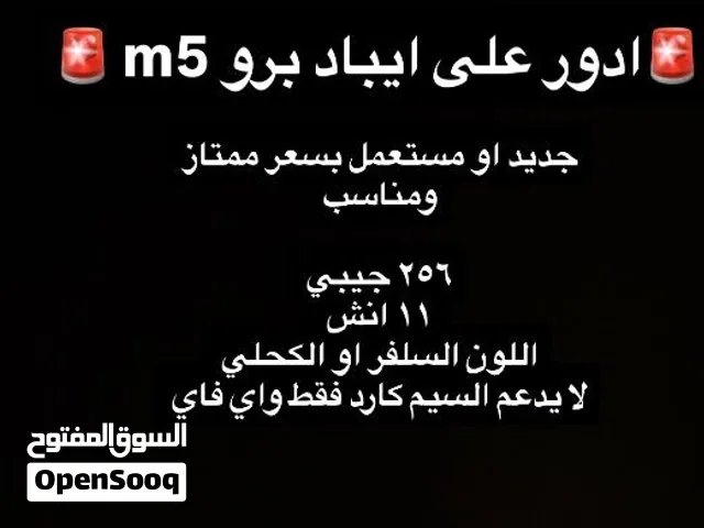 Apple iPad 256 GB in Buraimi