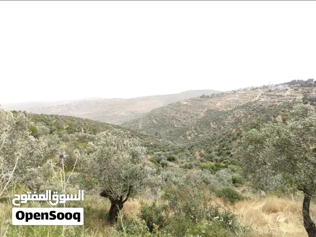 ارض سكني للبيع