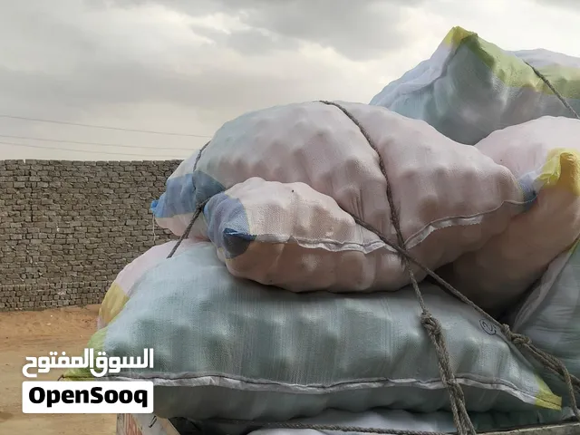 كور كيدز أريا وحضانات - خامة ممتازة جملة وقطاعي