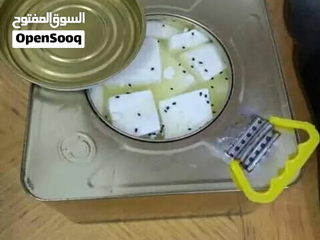 جبنه اغنام