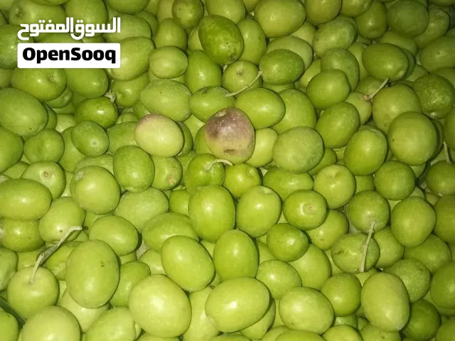زيتون بلدي حبة كبيرة