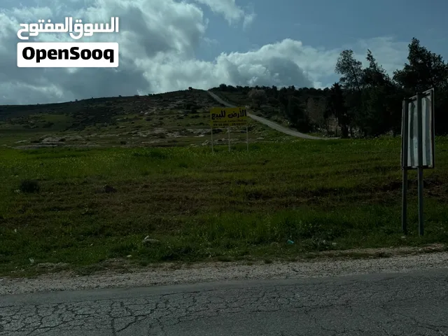 ارض على الشارع الرئيسي واجهه كبيرة جدآ