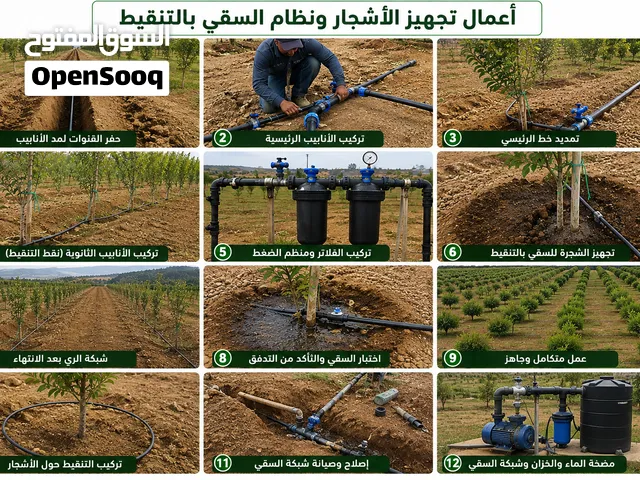 ابراهيم اعمال مزارعة بأكملها