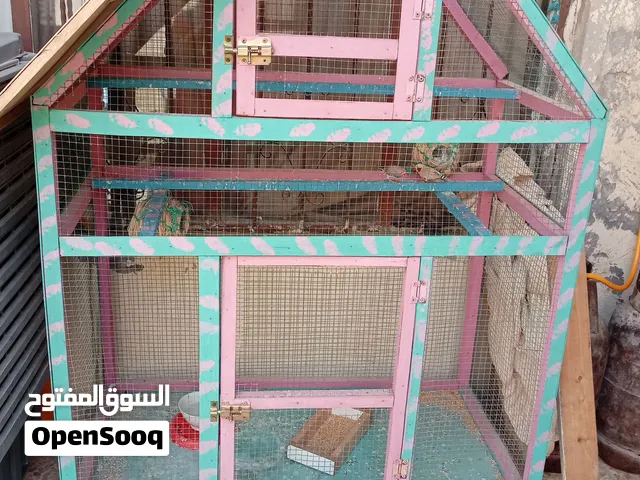 قفص مال طيور حجمه جبير وحلو وصوره موجوده