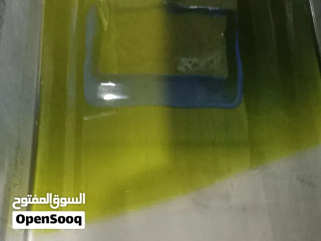 زيت زيتون من زيتون المزار الشمالي