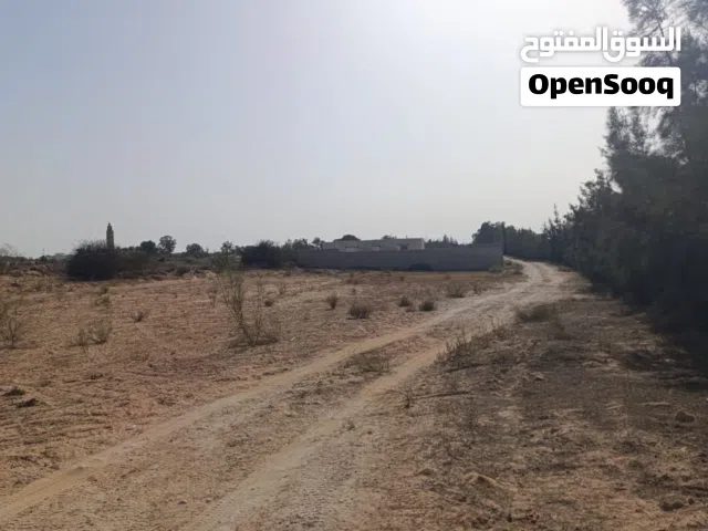 ارض للبيع ف العجيلات