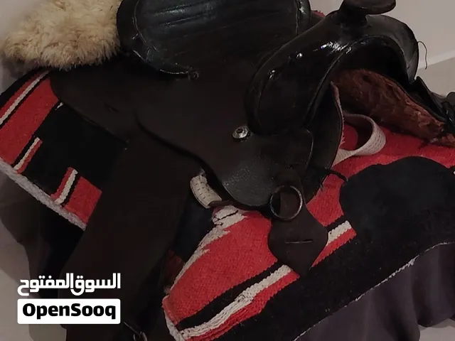 سرج امريكي هندي